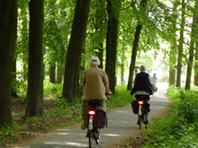 Fietsen in de omgeving van Wolfheze  Chaletpark Lindenhof